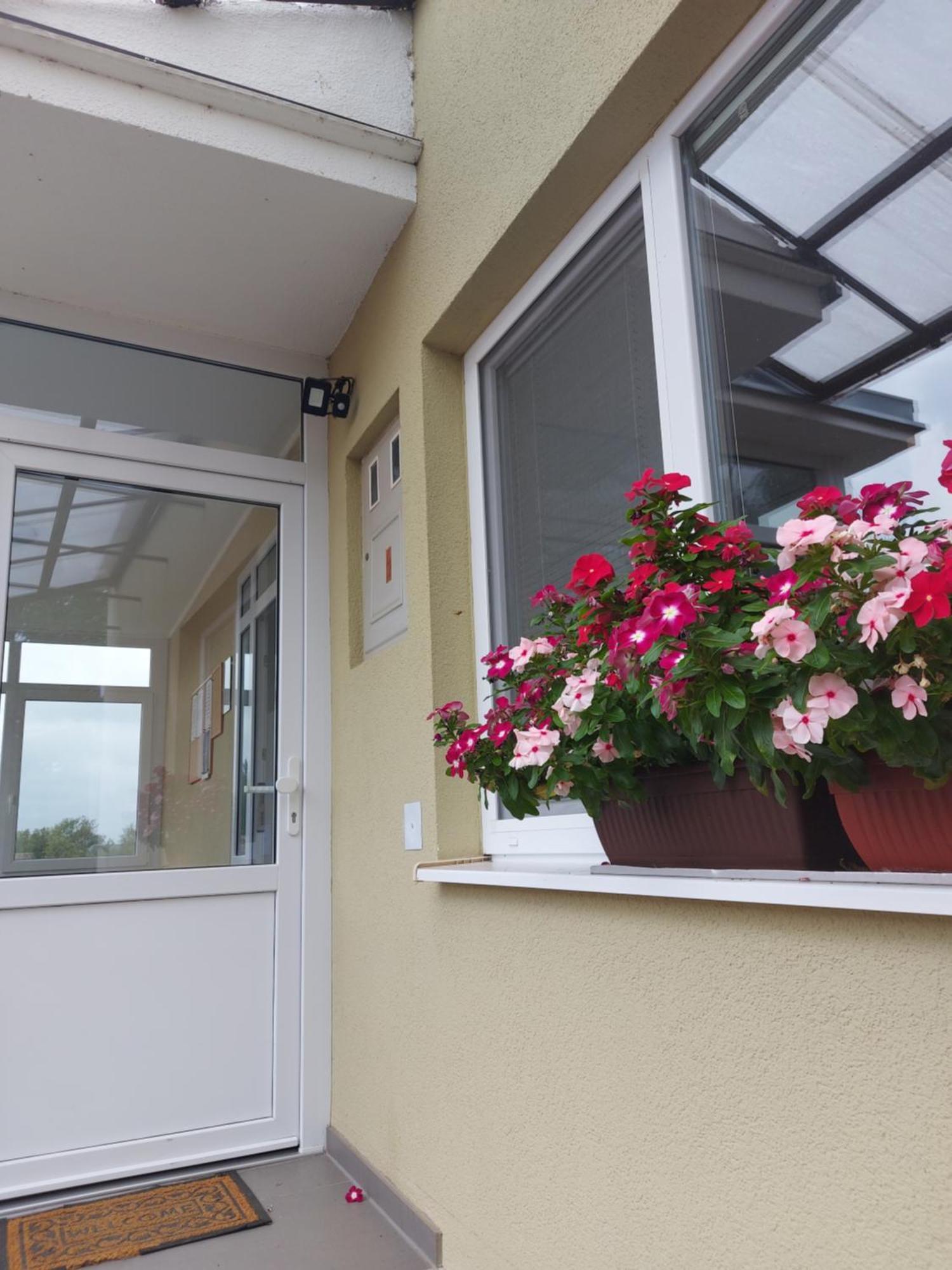 Apartman Kovac-Bilje Δωμάτιο φωτογραφία